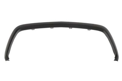 Trim/Protection Strip, radiator grille BLIC 6502-07-3548921P