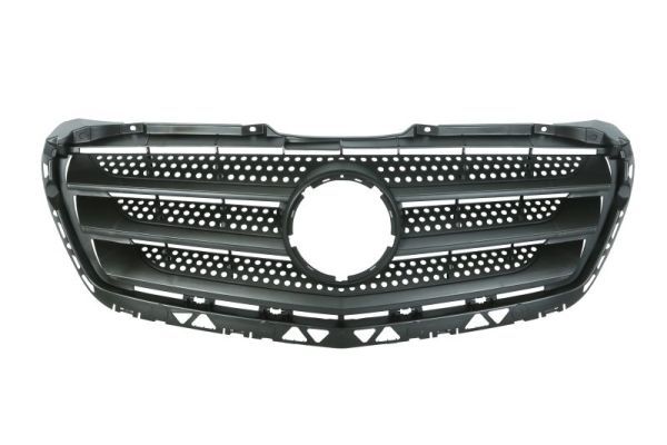 BLIC 6502-07-3548990P Radiator Grille