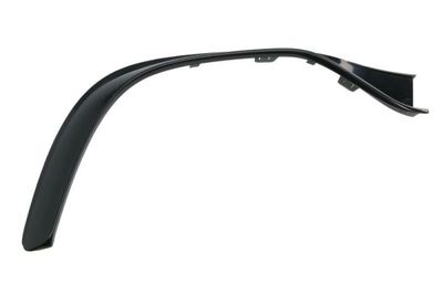Trim/Protection Strip, bumper BLIC 6502-07-3555924P