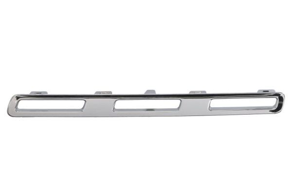 BLIC 6502-07-3584993P Trim/Protection Strip, radiator grille