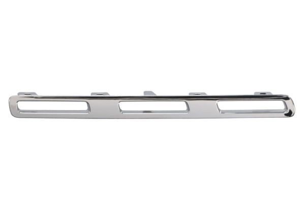 BLIC 6502-07-3584994P Trim/Protection Strip, radiator grille