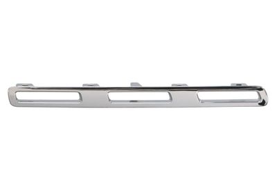Trim/Protection Strip, radiator grille BLIC 6502-07-3584994P