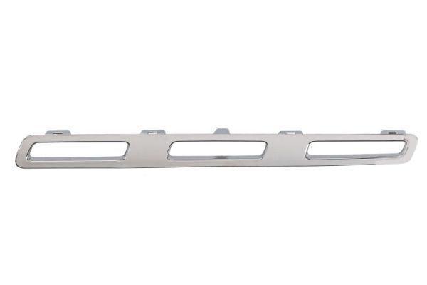 BLIC 6502-07-3584995P Trim/Protection Strip, radiator grille