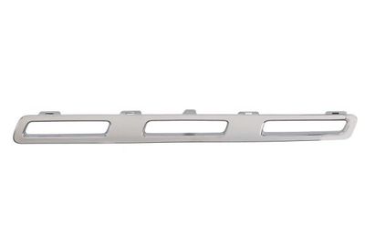 Trim/Protection Strip, radiator grille BLIC 6502-07-3584995P