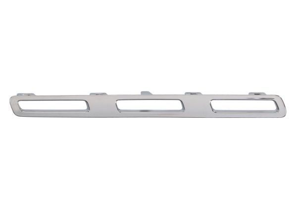 BLIC 6502-07-3584996P Trim/Protection Strip, radiator grille