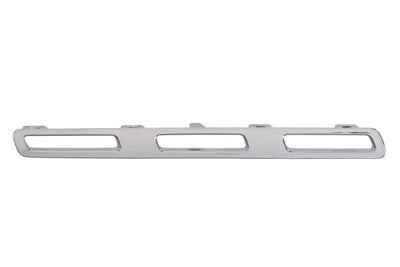 Trim/Protection Strip, radiator grille BLIC 6502-07-3584996P