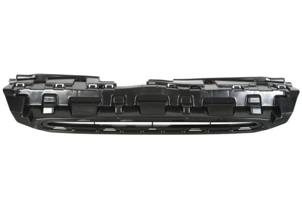 BLIC 6502-07-3712990P Radiator Grille