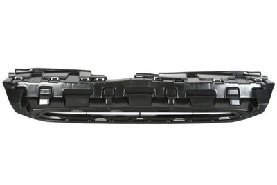 Radiator Grille BLIC 6502-07-3712990P