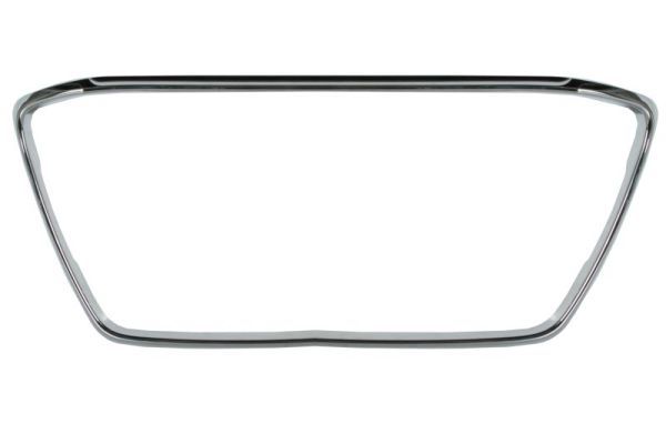 BLIC 6502-07-3751994P Trim/Protection Strip, radiator grille