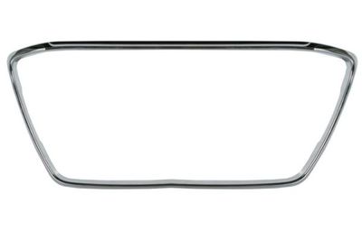 Trim/Protection Strip, radiator grille BLIC 6502-07-3751994P