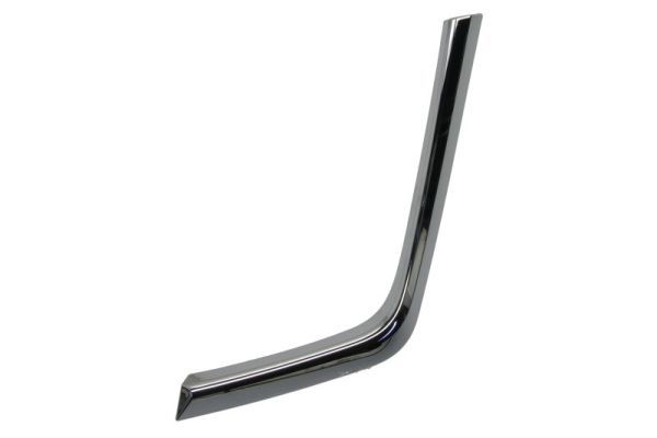 BLIC 6502-07-3753921P Trim/Protection Strip, bumper