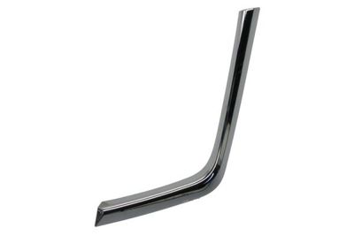 Trim/Protection Strip, bumper BLIC 6502-07-3753921P
