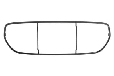 Trim/Protection Strip, radiator grille BLIC 6502-07-4002915P