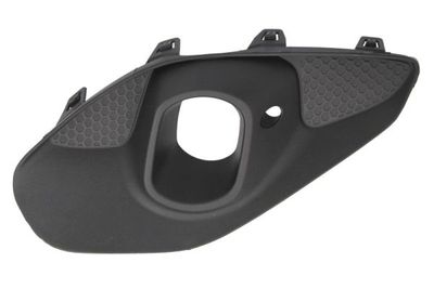 Ventilation Grilles, bumper BLIC 6502-07-5028913Q