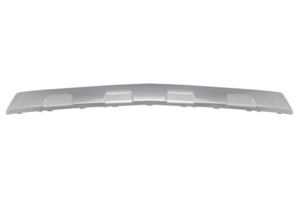 BLIC 6502-07-5029921P Trim/Protection Strip, bumper