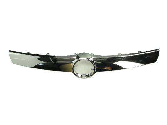 BLIC 6502-07-5033991P Trim/Protection Strip, radiator grille