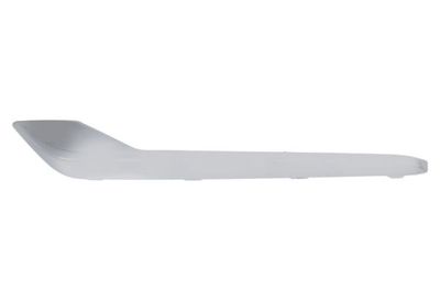 Trim/Protection Strip, radiator grille BLIC 6502-07-5036992P