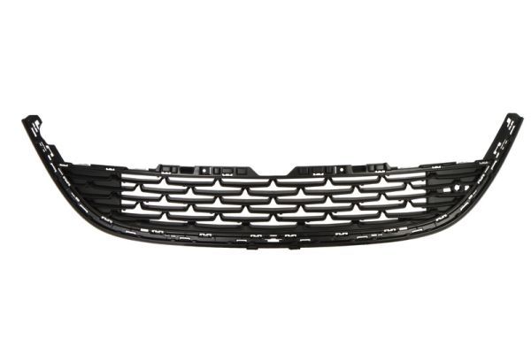BLIC 6502-07-5053911Q Ventilation Grilles, bumper
