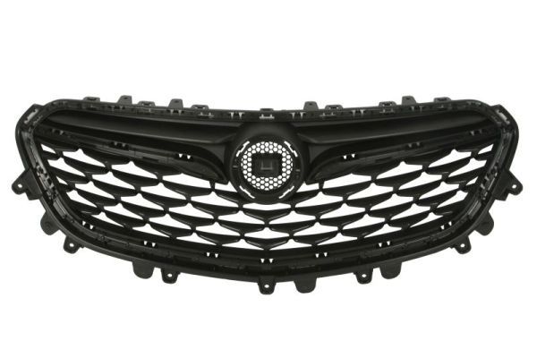 BLIC 6502-07-5054990P Radiator Grille