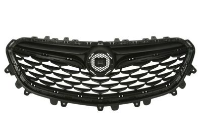 Radiator Grille BLIC 6502-07-5054990P