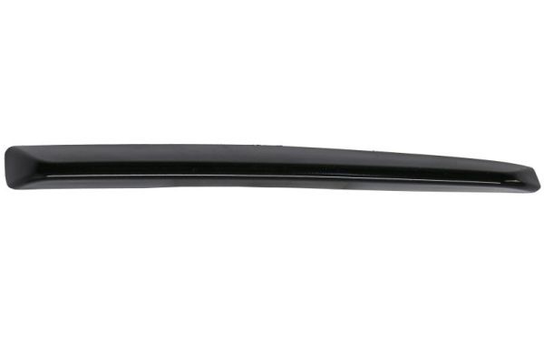 BLIC 6502-07-5055922P Trim/Protection Strip, bumper