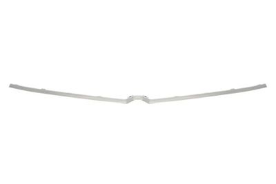 Trim/Protection Strip, radiator grille BLIC 6502-07-5055994P