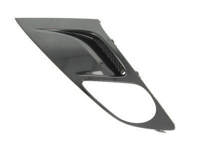 Ventilation Grilles, bumper BLIC 6502-07-5064917P