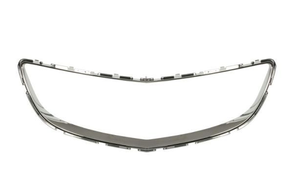 BLIC 6502-07-5079997P Trim/Protection Strip, radiator grille