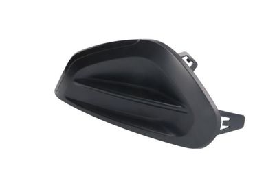 Ventilation Grilles, bumper BLIC 6502-07-5509913P