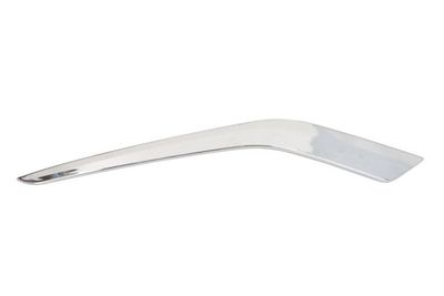 Trim/Protection Strip, bumper BLIC 6502-07-5509916PP
