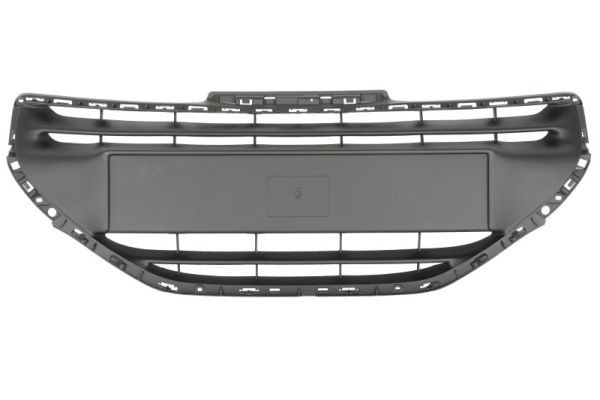 BLIC 6502-07-5509991P Radiator Grille