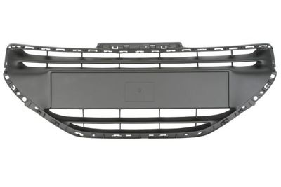 Radiator Grille BLIC 6502-07-5509991P