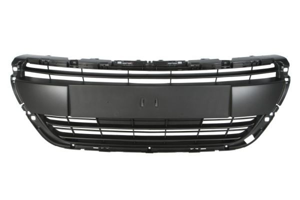 BLIC 6502-07-5509992P Radiator Grille