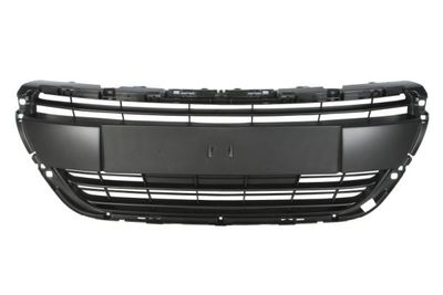 Radiator Grille BLIC 6502-07-5509992P