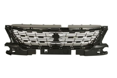 Radiator Grille BLIC 6502-07-5511993P