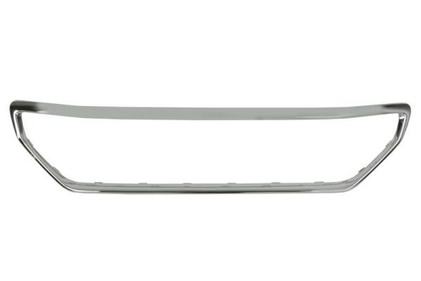 BLIC 6502-07-5511995P Trim/Protection Strip, radiator grille