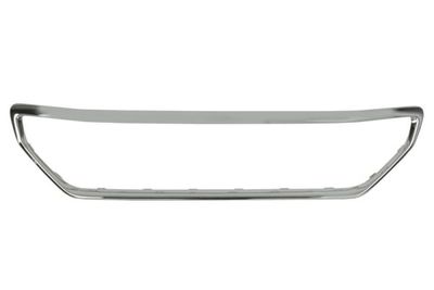 Trim/Protection Strip, radiator grille BLIC 6502-07-5511995P