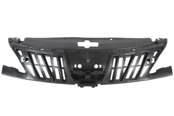 BLIC 6502-07-5514991P Radiator Grille