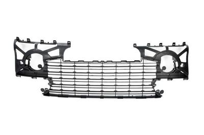 Ventilation Grilles, bumper BLIC 6502-07-5514996P