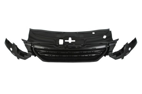 BLIC 6502-07-5516990P Radiator Grille