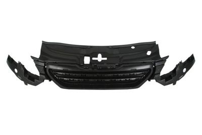 Radiator Grille BLIC 6502-07-5516990P