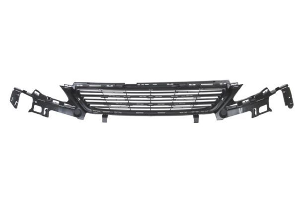 BLIC 6502-07-5519995P Radiator Grille