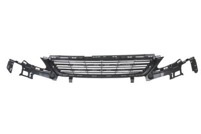 Radiator Grille BLIC 6502-07-5519995P