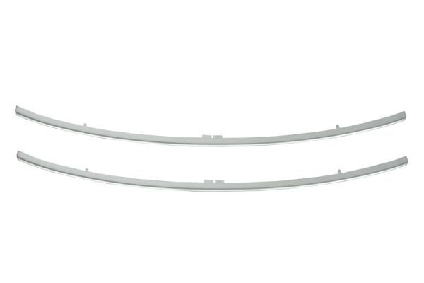 BLIC 6502-07-5519997P Trim/Protection Strip, radiator grille