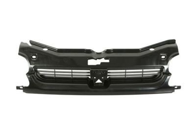 Radiator Grille BLIC 6502-07-5560990P