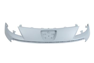 Radiator Grille BLIC 6502-07-5562990Q