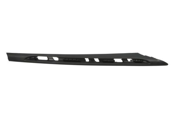 BLIC 6502-07-5723916P Trim/Protection Strip, bumper