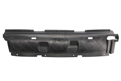 Ventilation Grille, bumper BLIC 6502-07-5730971P