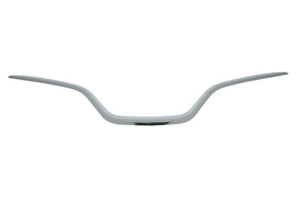 BLIC 6502-07-6009991P Trim/Protection Strip, radiator grille