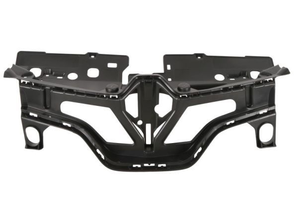 BLIC 6502-07-6009993P Radiator Grille